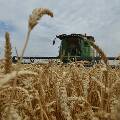 Шанс для России: в США заговорили о проблемах с зерном