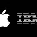 Apple  IBM         